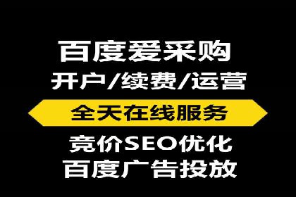 顶级SEM服务公司案例解析